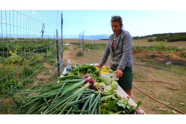Coming Soon: A Documentary Championing Colorado Farmers